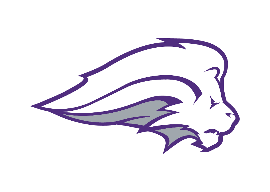 Nelson logo